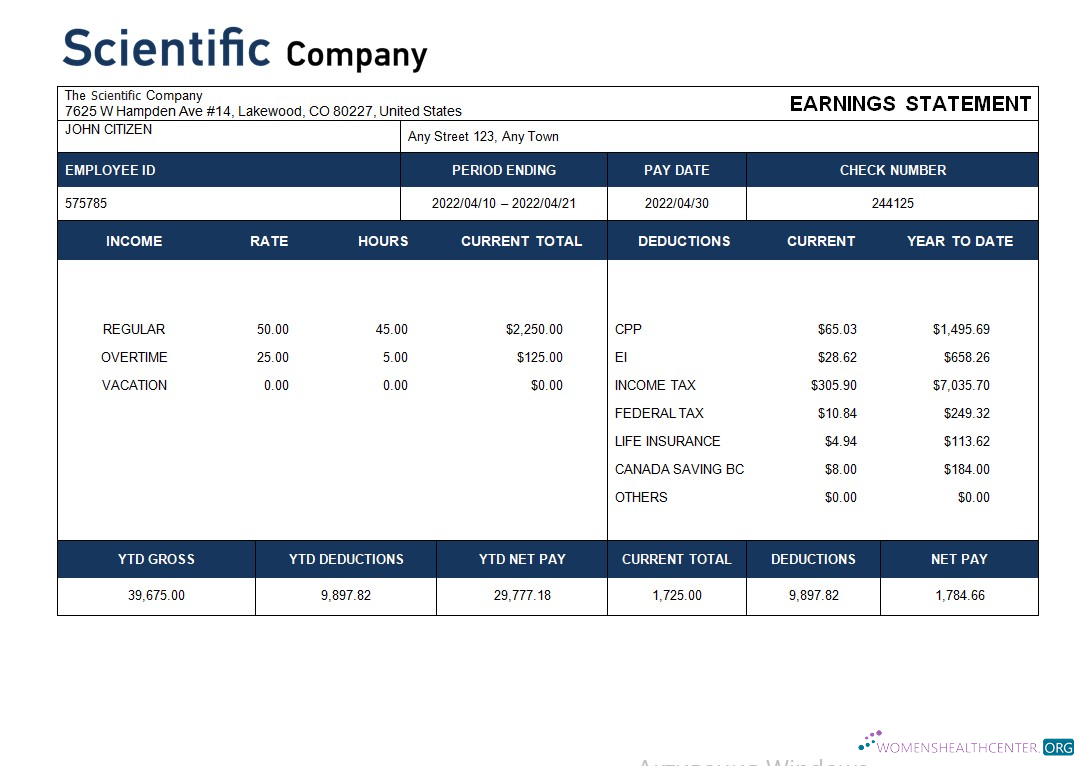 Download scientific company payroll statement in Word and PDF formats Photoshop template